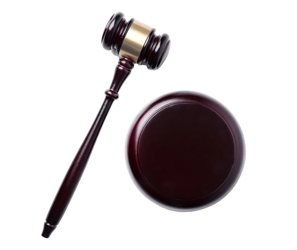 Judge Hammer
